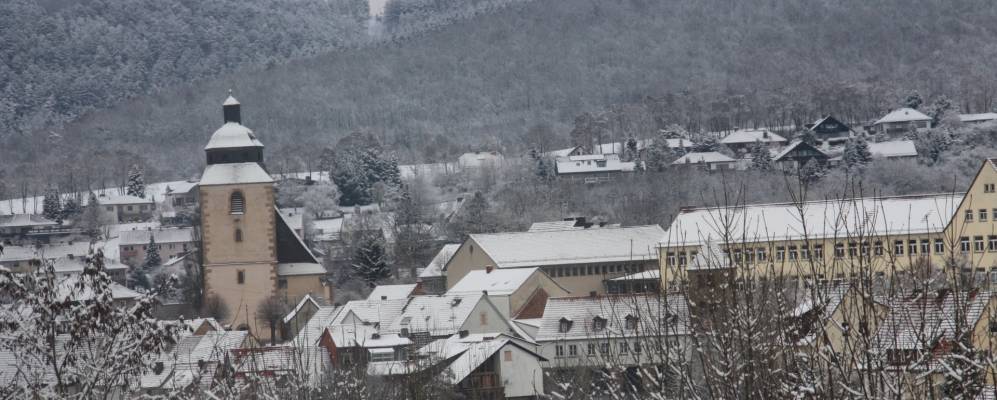 
            Фотография Зонтры