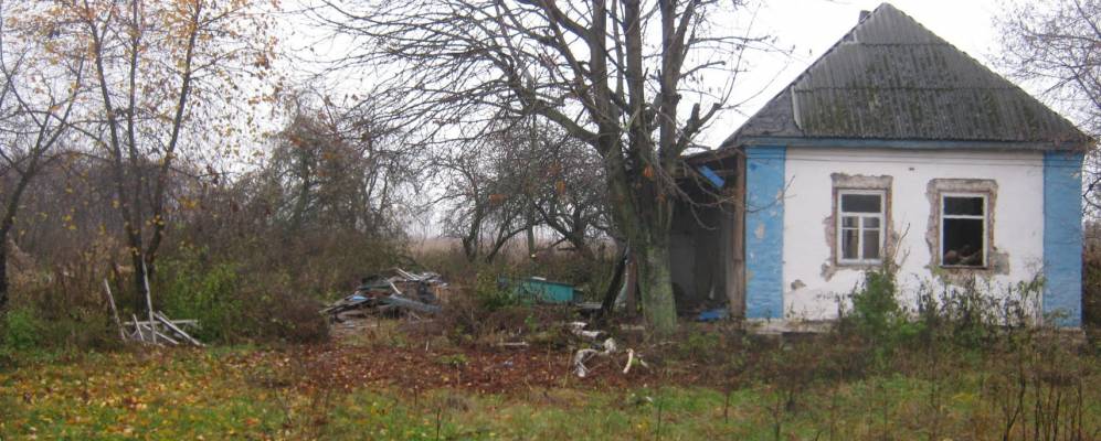 
            Фотография Рогозного