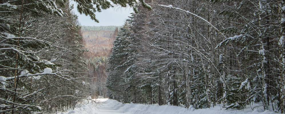
            Фотография Чистополки