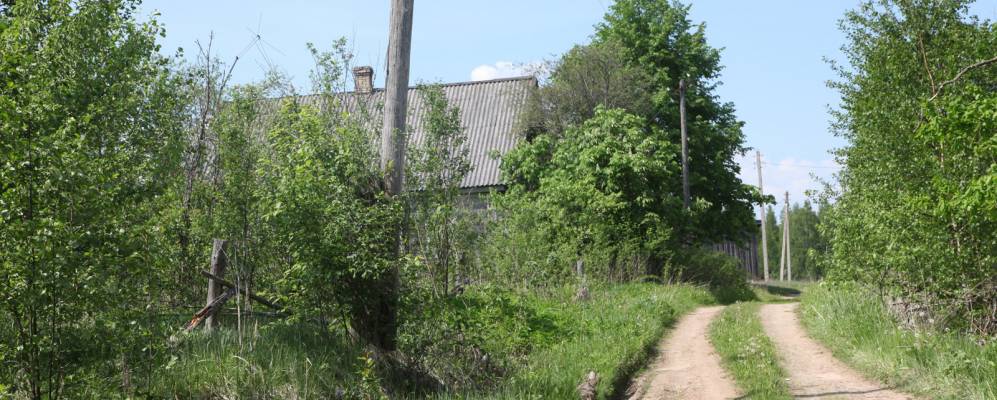 
            Фотография Синцово