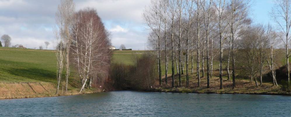 
            Фотография Албана