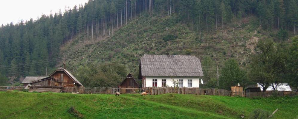 
            Фотография Яблоницы