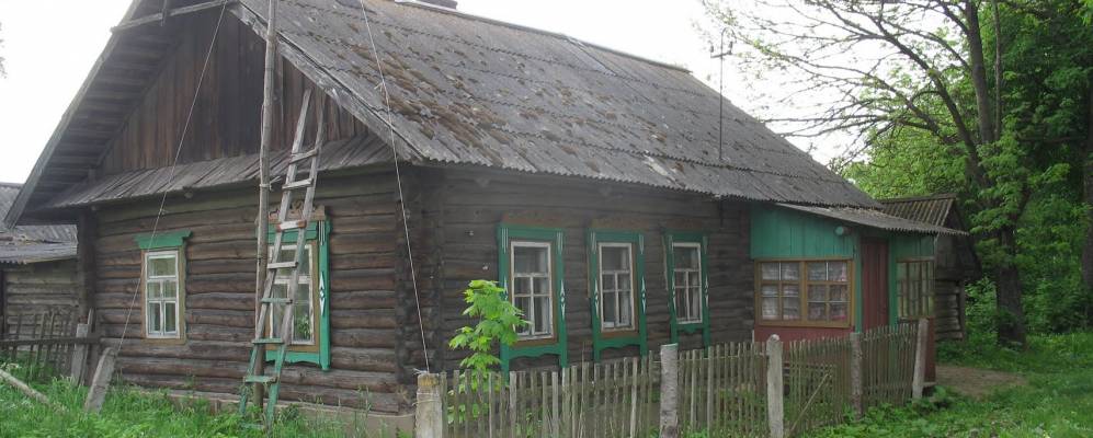 
            Фотография Шапчино