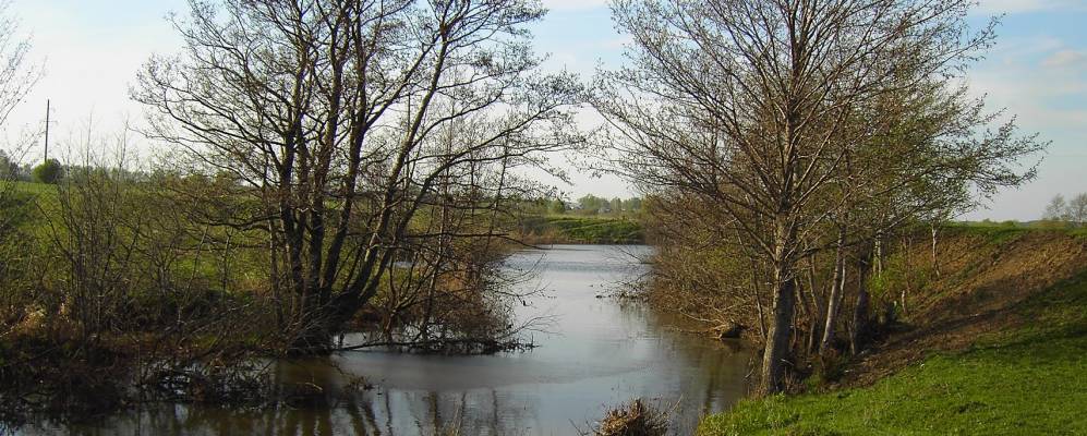 
            Фотография Львовки