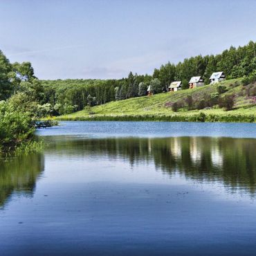 Лесничество Осетровское