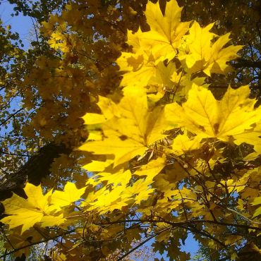 Новая Каховка