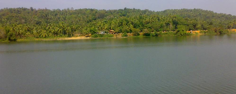 
            Фотография Мавура