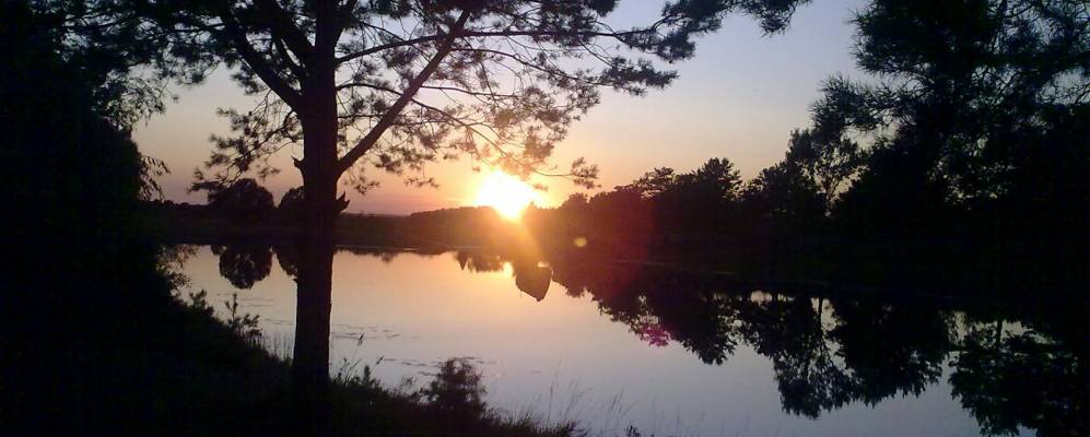 Фотография Стрельска