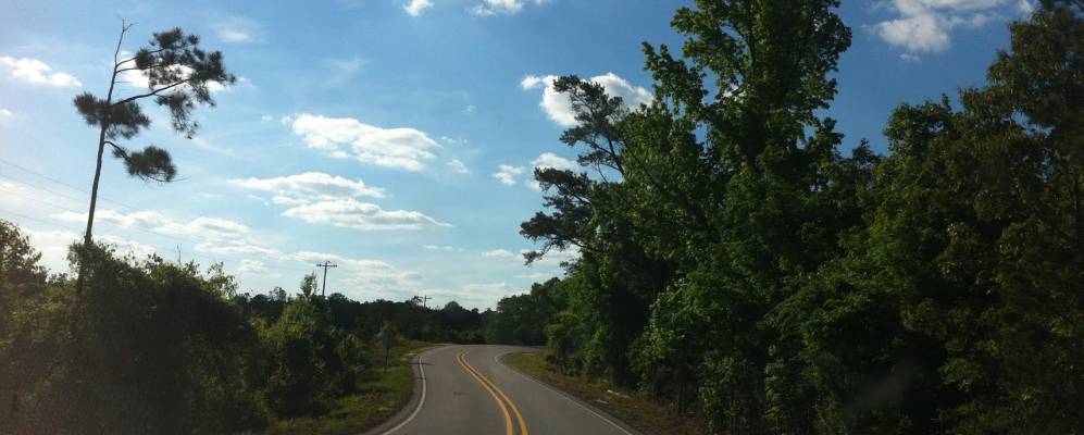 
            Фотография Холли Спрингса