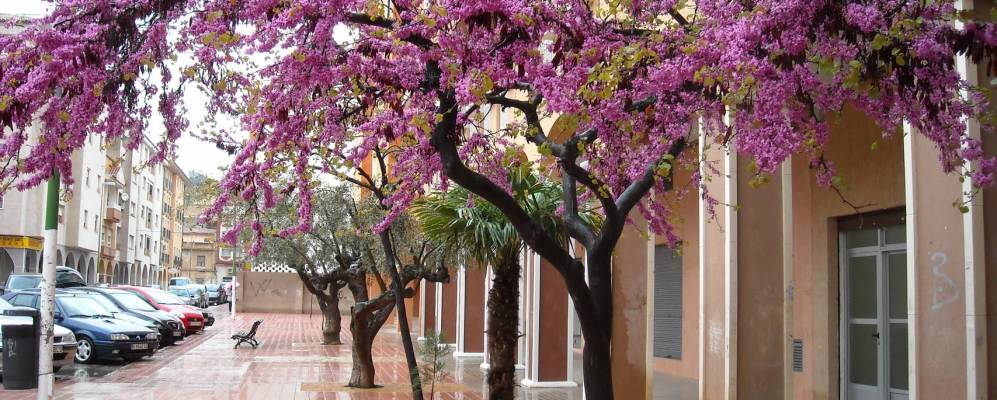 
            Фотография Моновара