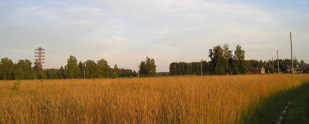 
            Фотография деревни Липняги