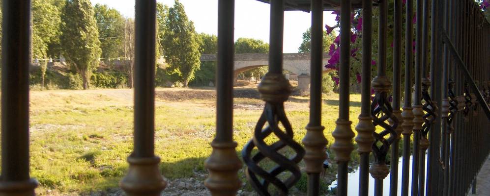 Фотография Биз-Минервуа