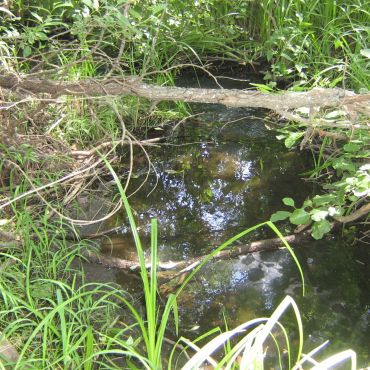 Архангельское Уединение