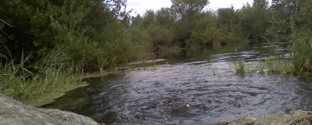 
            Фотография деревни Парицы