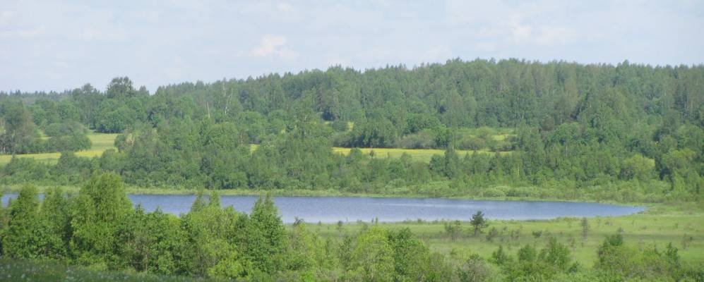 
            Фотография деревни Жарки