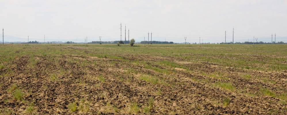 
            Фотография Шуваева