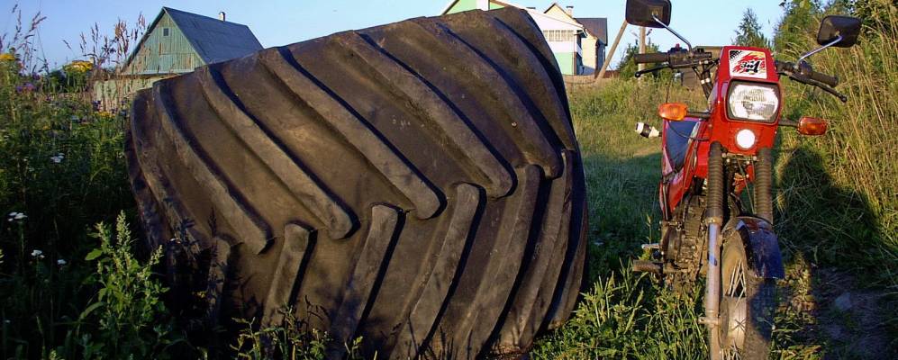 
            Фотография Дрюцка