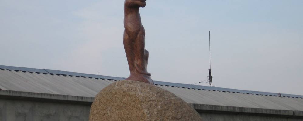 
            Фотография Лизника