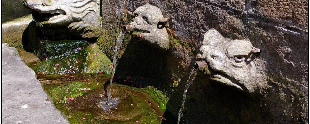 
            Фотография Наваррана