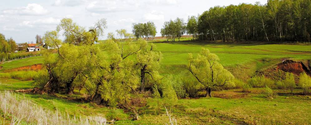 
            Фотография Репьевки