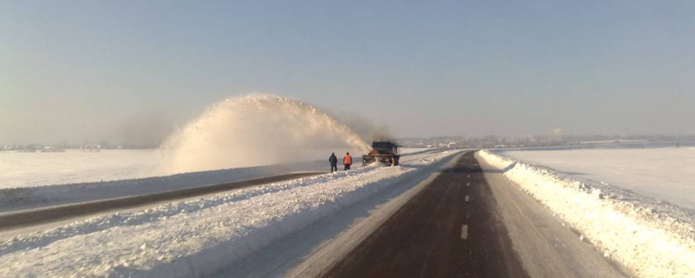 
            Фотография Дорожного