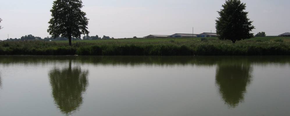 Фотография деревни Придыбайлы