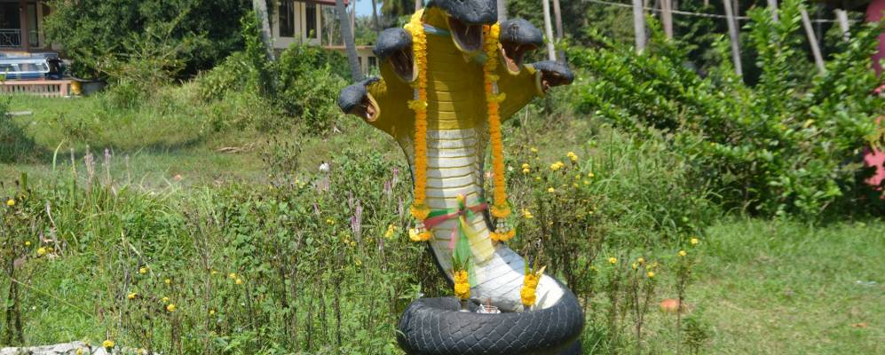 
            Фотография Талинг-Нгам-Бича