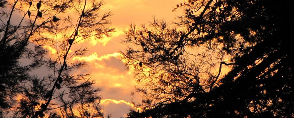 
            Фотография Монтекассиано