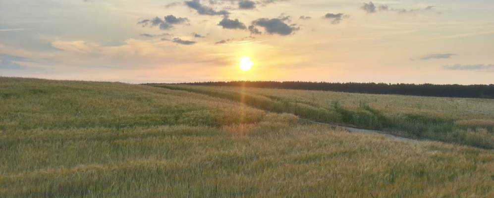 
            Фотография деревни Дубки