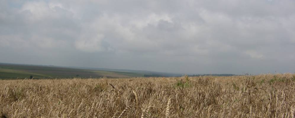 Фотография Шебутинцы