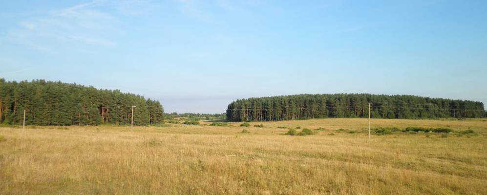 Фотография деревни Карповичи