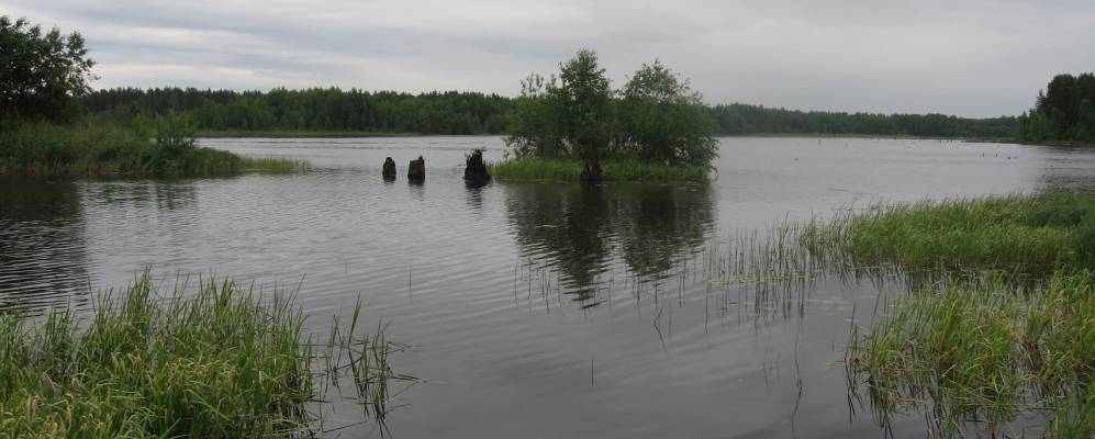 Фотография Бородавы