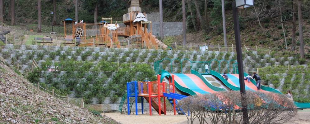 
            Фотография Сабаэ