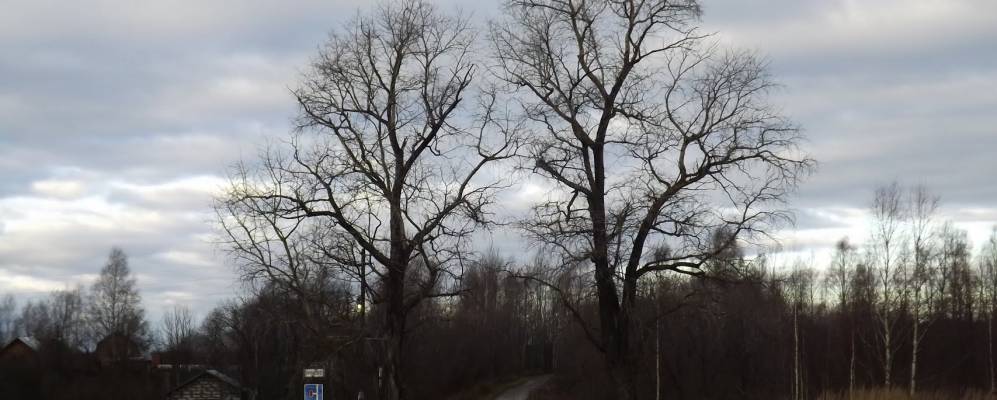 
            Фотография Прохоровцев