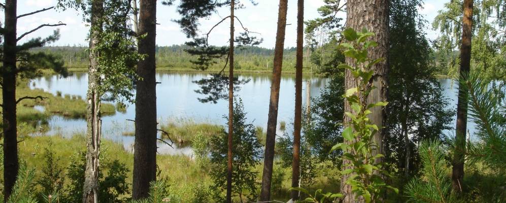 
            Фотография Захново