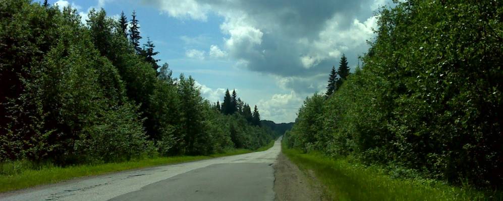 
            Фотография Язвика