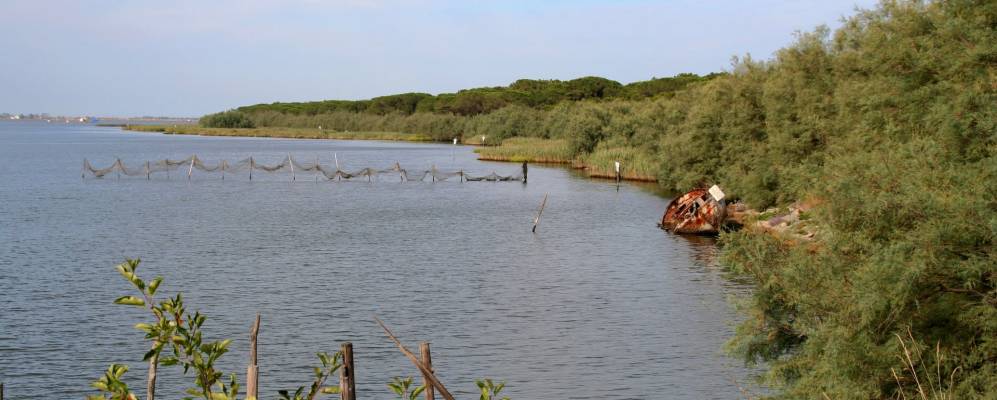 
            Фотография Лидо-ди-Волано