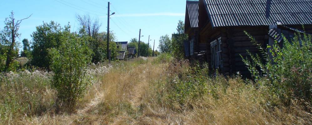 
            Фотография Дурги