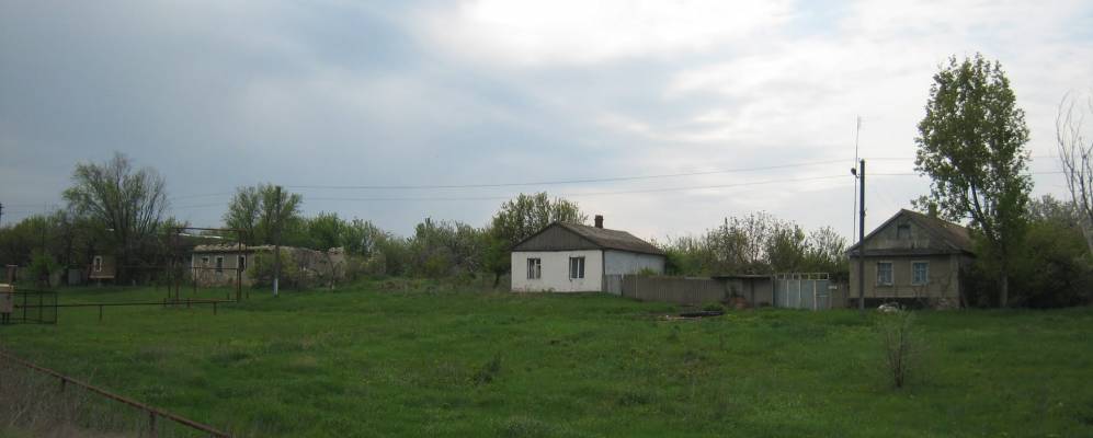 
            Фотография Белоскелеватого