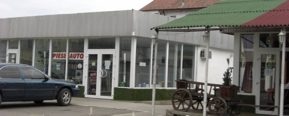 
            Фотография Янкы