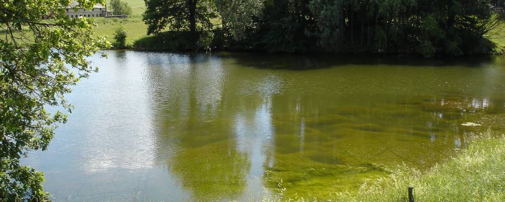 
            Фотография Коракшей