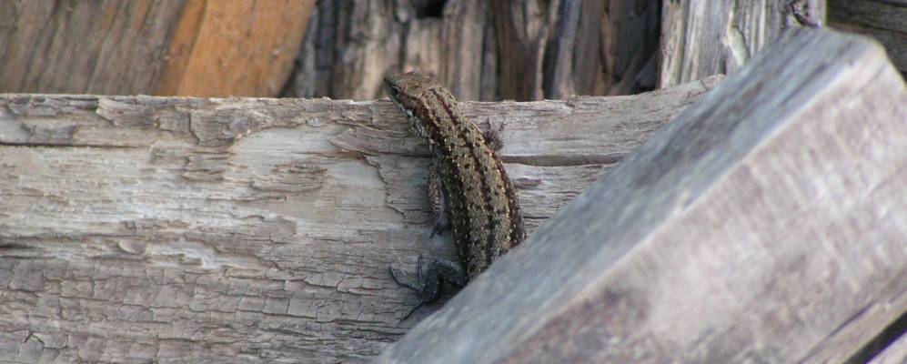 
            Фотография Фёдлово