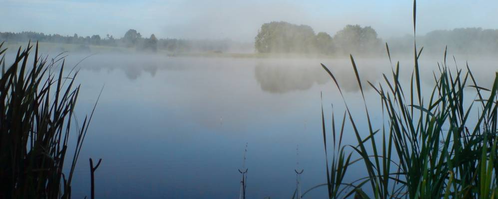 
            Фотография Сыроквашино