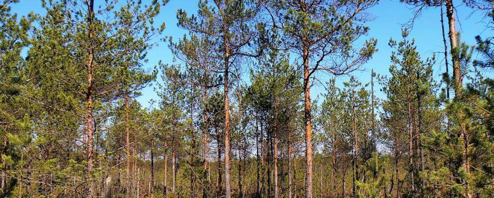 
            Фотография Острова