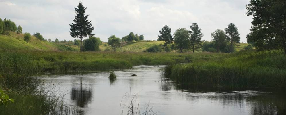 
            Фотография Мазаной Горки
