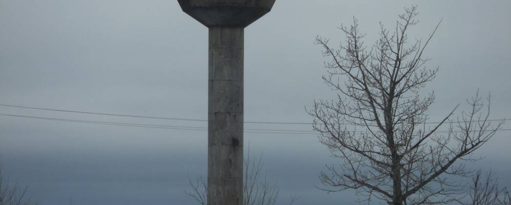 
            Фотография Кошты