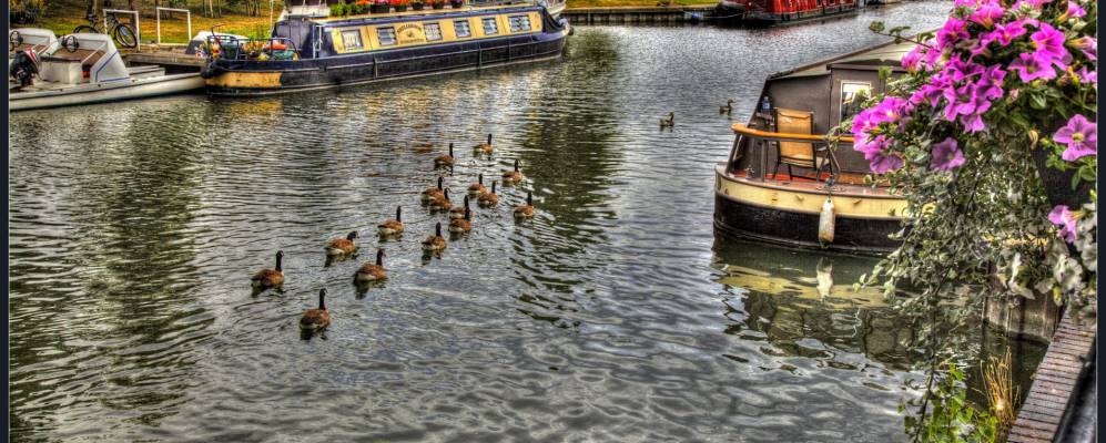 
            Фотография Или