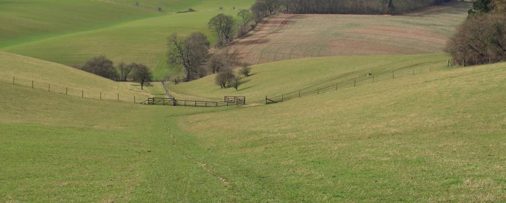 
            Фотография Вестфилда