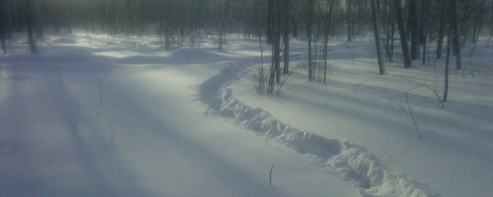 
            Фотография Чаплыка