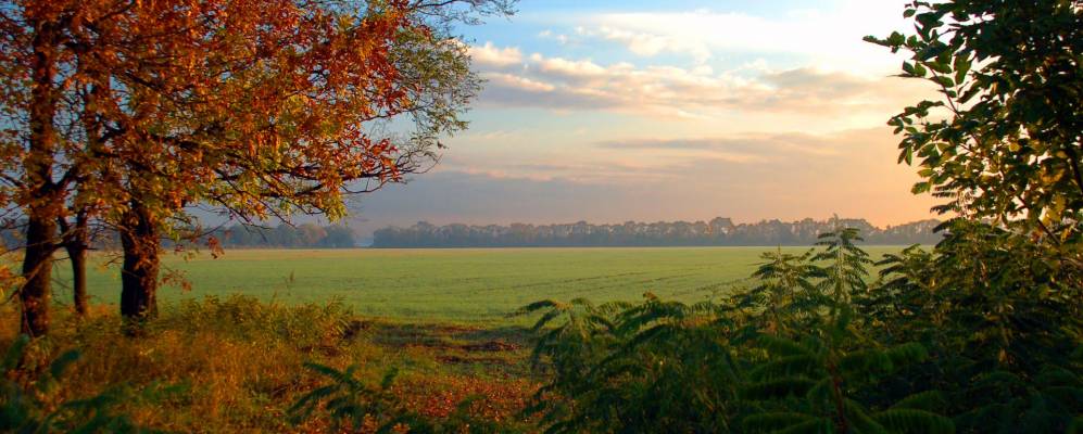 Фотография Водяного